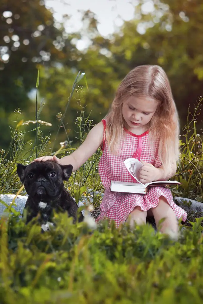 Frenchie Puppy and Girl