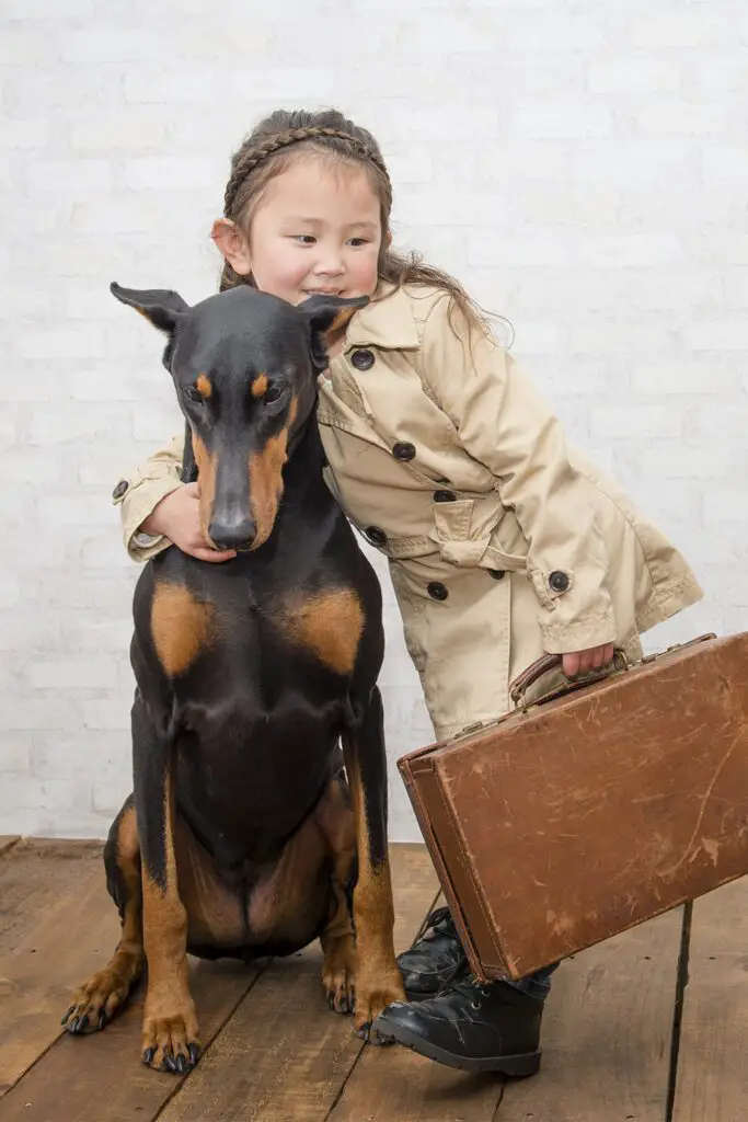 Doberman And Girl