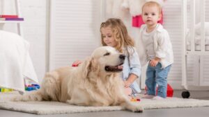 Golden Retrievers And Kids