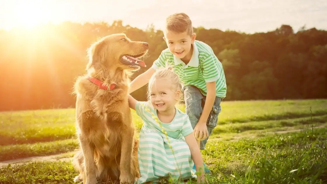 Some Rules For Kids Around Golden Retrievers